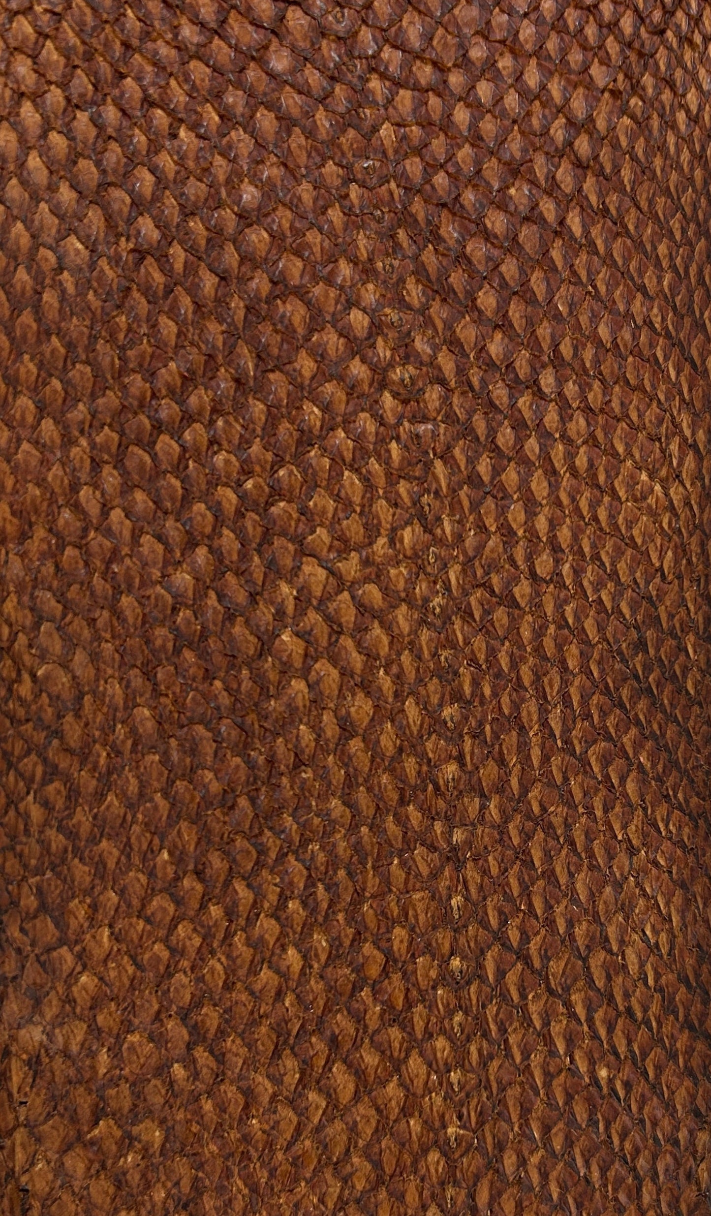 Lakseskinn - Hasselnøtt