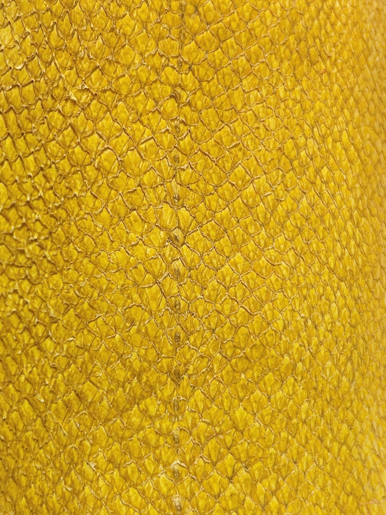 Lakseskinn - Nugget gold