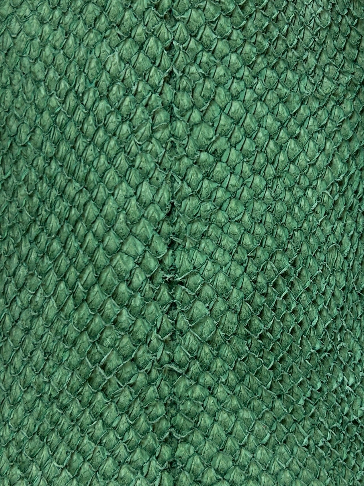 Lakseskinn - Grønn